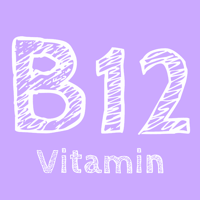 WellHealthOrganic Vitamin B12: The Essential Nutrient for Vitality and Health 2 Sources of Vitamin B12